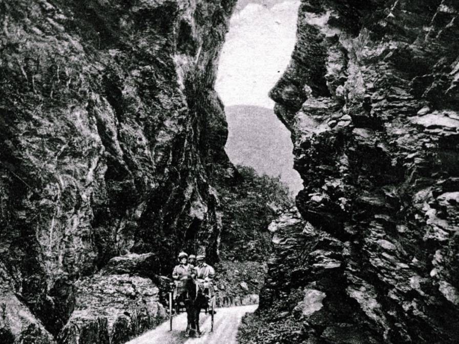 #2 Hest kjerre i dalen